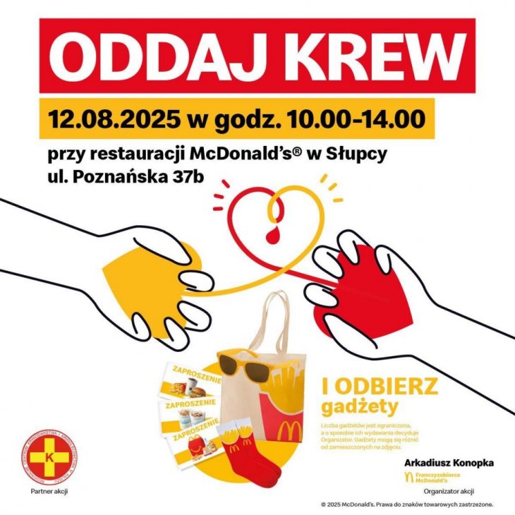 Podgląd wczytanego pliku